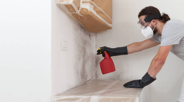 Professional Hvac And Air Duct Mold Remediation technician working in Yale, MI