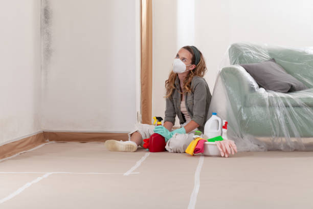 Reliable Hvac And Air Duct Mold Remediation contractor in Yale, MI by 24 Hour Mold Removal